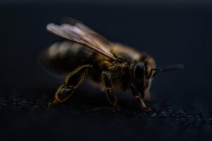 脱毛で太ももをきれいにするための効果的な方法は？