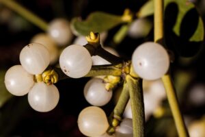 医療脱毛はアトピー症状にどのように影響するのか？