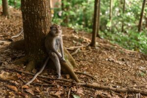 レジーナクリニックの予約方法はどのように行えばいいの？
