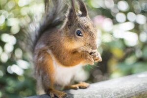 価格の相談が可能なサービスはどこで探せる？