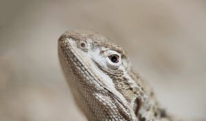 髭脱毛の6回目で実感できる効果とは？