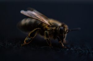 医療脱毛の予約が取りやすいクリニックはどこですか？